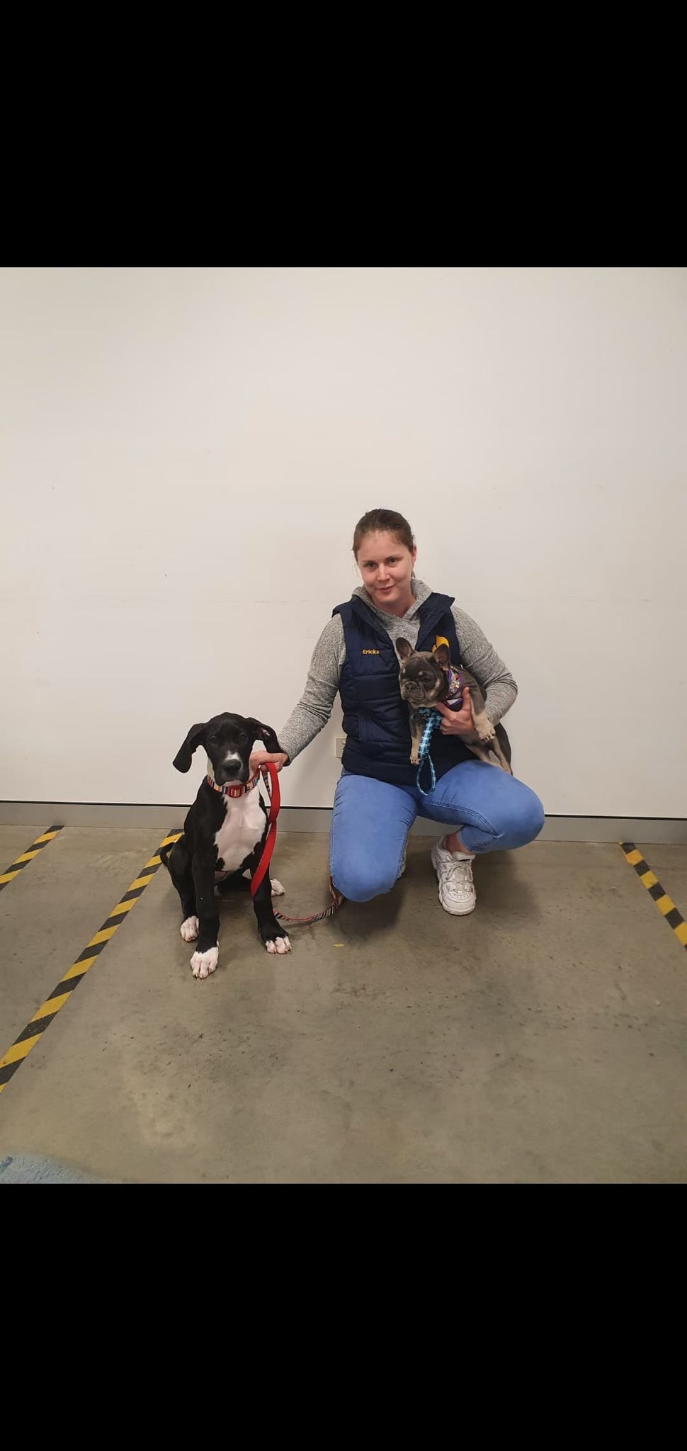 Are Dog Collars Cruel