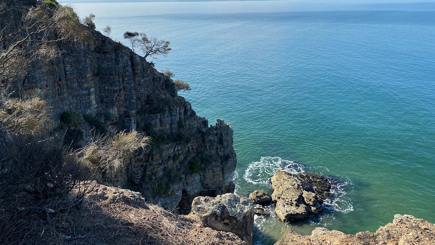 Cape Deslacs Nature Reserve signage at a beach