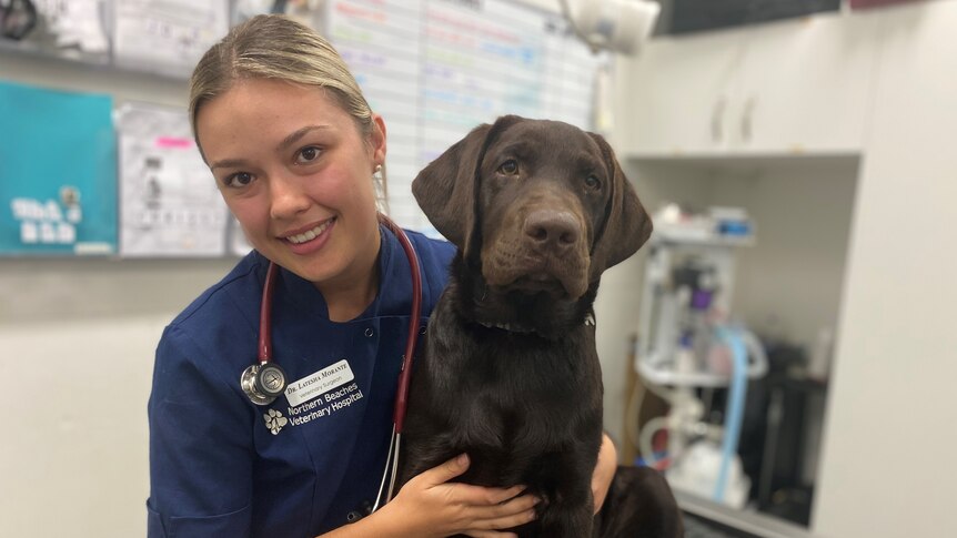 Latesha Morante holds a large brown dog, a veterinary clinic is visible behind her