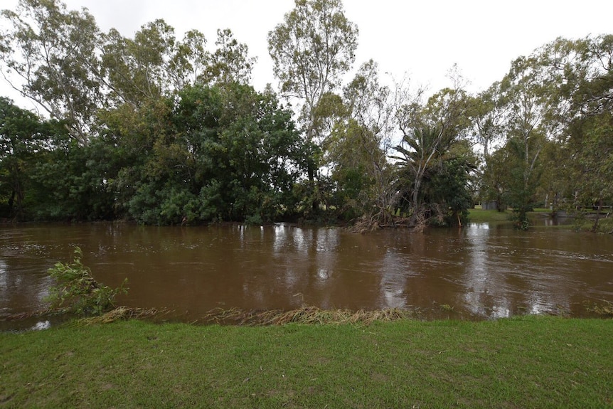 Sevens Creek at Euroa after flood waters receded.