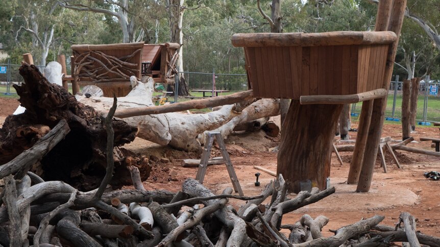 Two tree forts under construction at Morialta playground