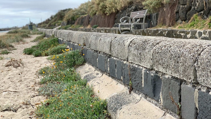 A bluestone and cement sea wall at Brighton Beach showing a beach and bench seat.