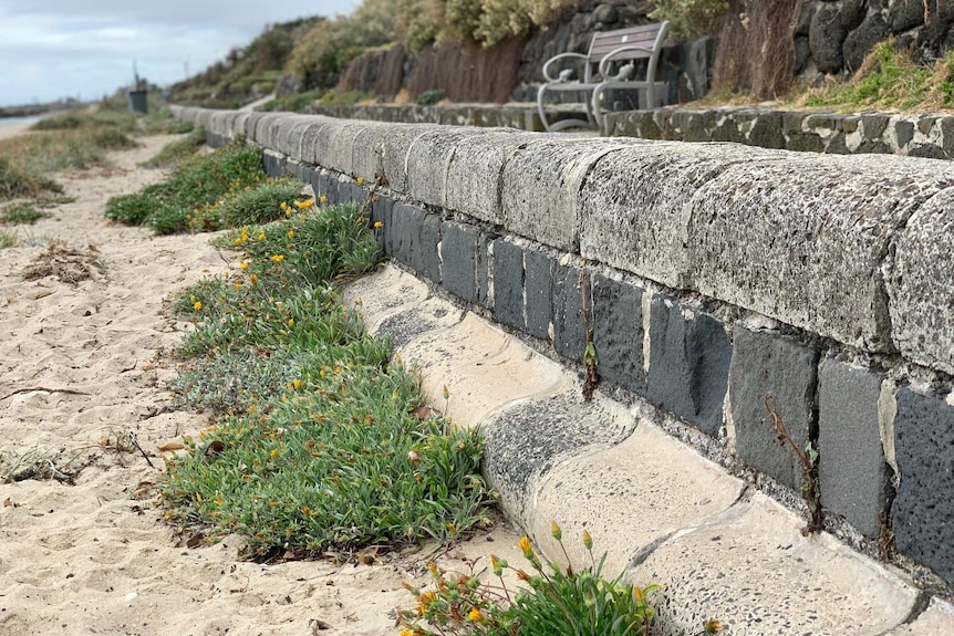 A bluestone and cement sea wall at Brighton Beach showing a beach and bench seat.