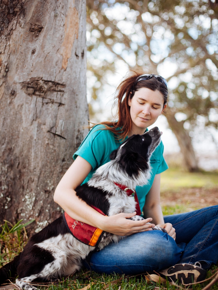 Portrait of a young woman with long brown hair sitting under a gum tree with a working dog