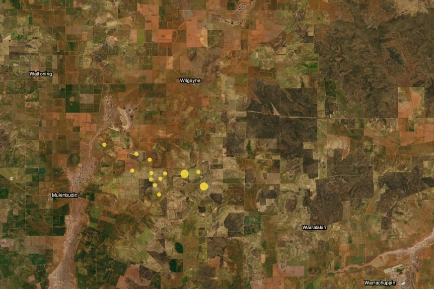 A map showing the location of earthquakes in the Wheatbelt. 