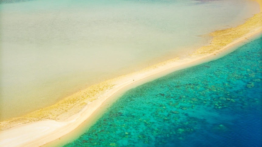 An aerial view of Hayman Island