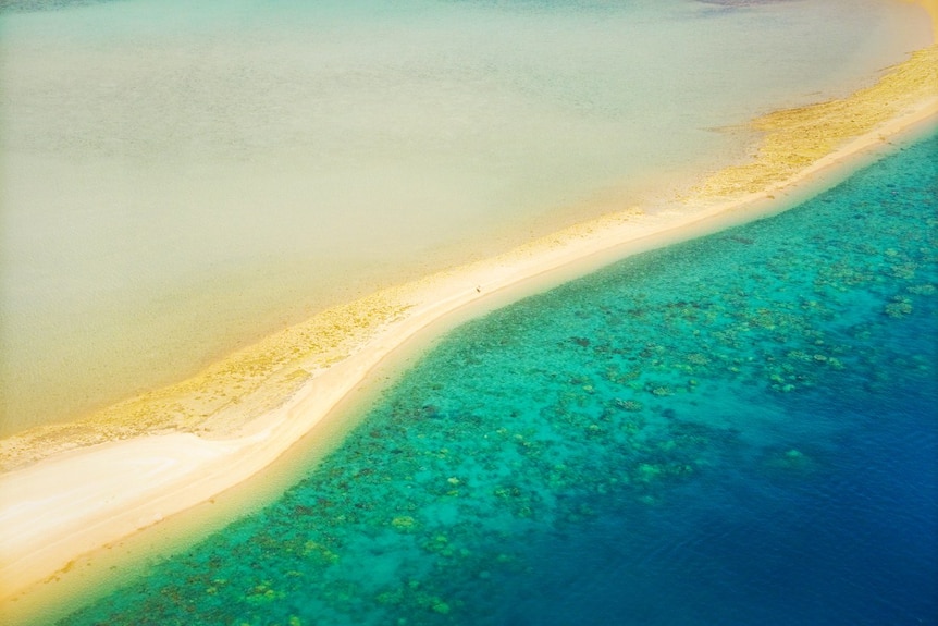 An aerial view of a tropical coastline.