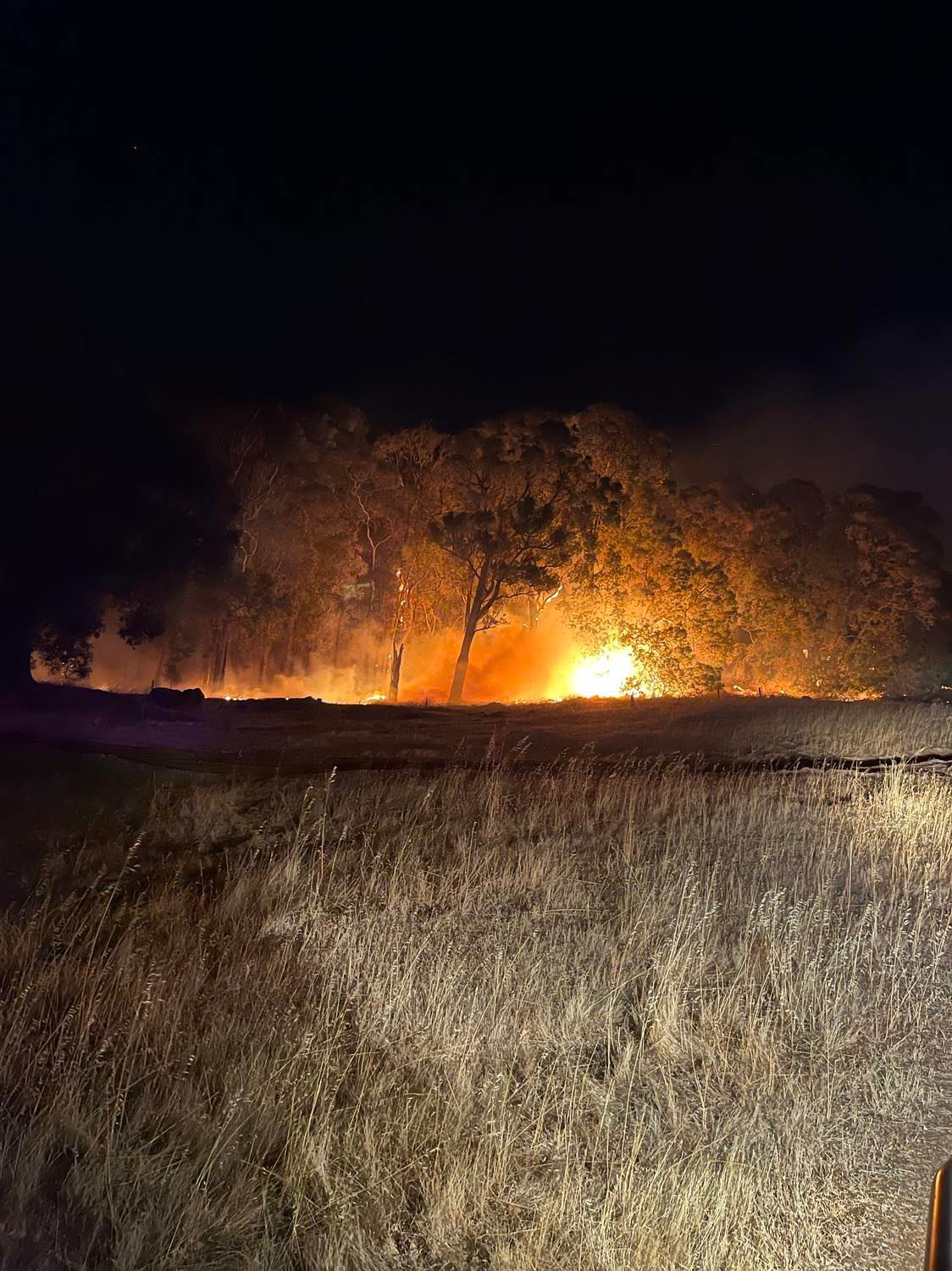 Threat level downgraded for fire burning near Donnybrook in WA's South