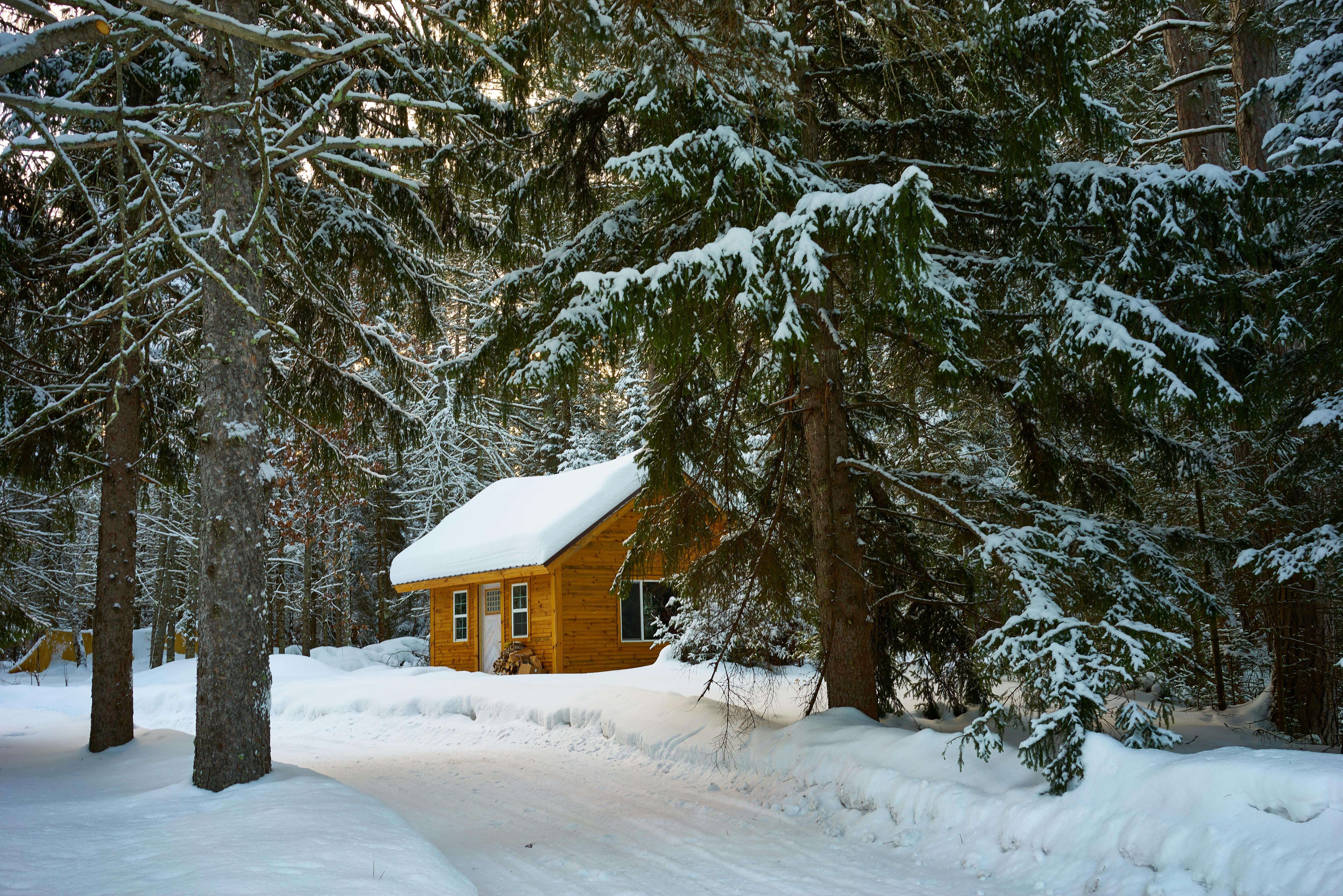 A wooden cabin in snow-covered woods, with snow covering the roof