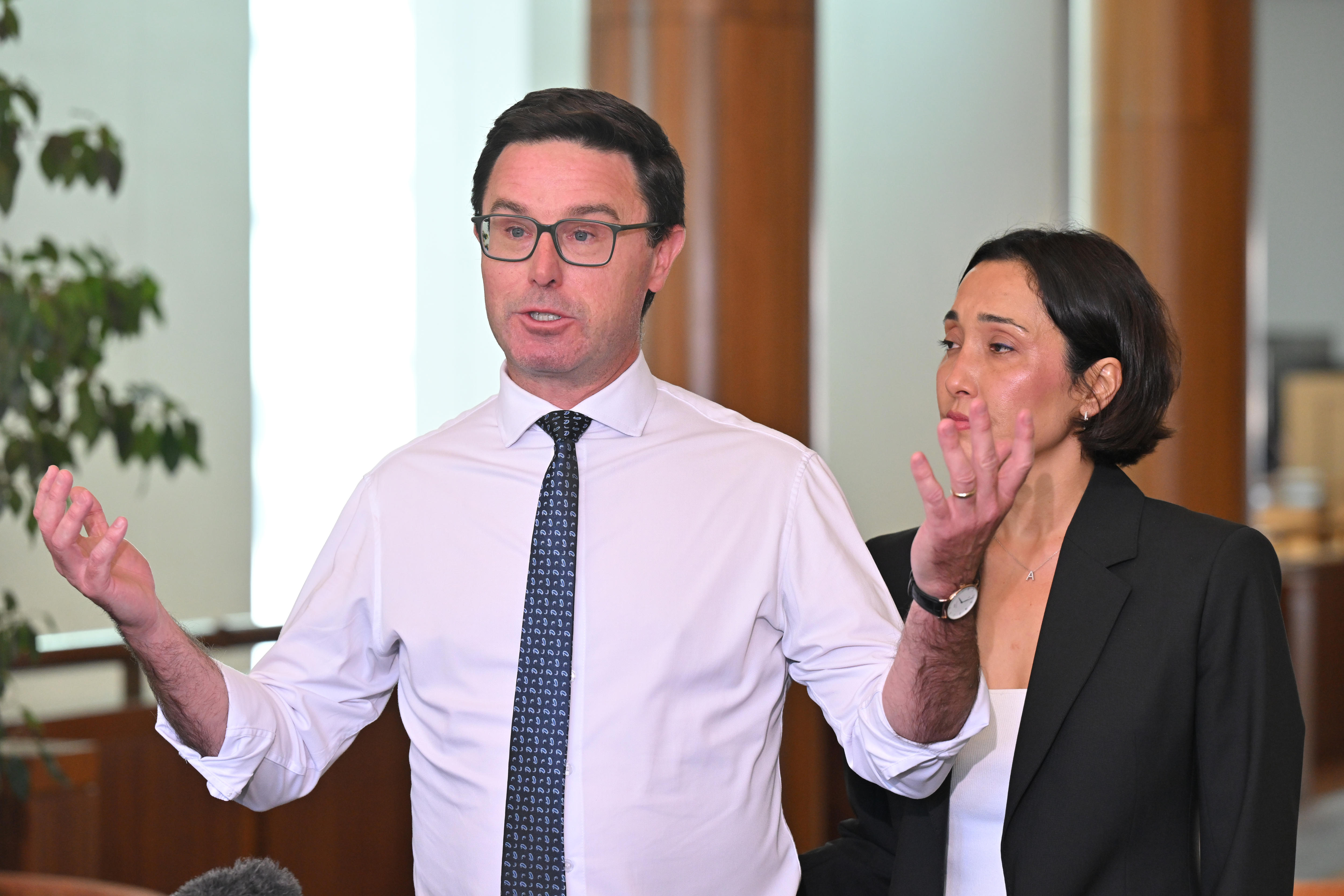 Wide field of candidates emerges to replace David Littleproud