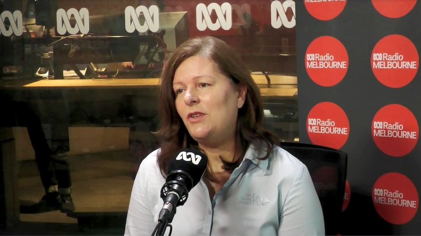 A woman with brown hair and white skin in a collared shirt sits in a radio studio for an interview.