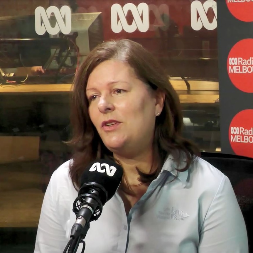 A woman with brown hair and white skin in a collared shirt sits in a radio studio for an interview.