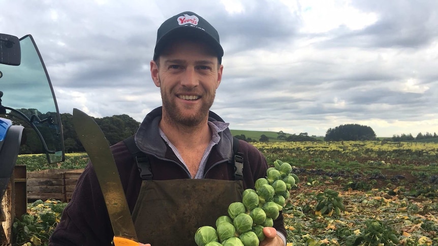 Vegetable grower Ben Young stands with a brussels sprout plant in his arm.