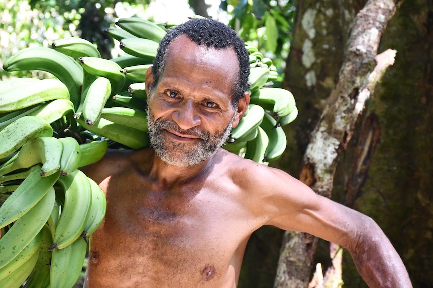 Older man with naked chest with a large bunch of green bananas slung over his shoulder. Looking straight at camera