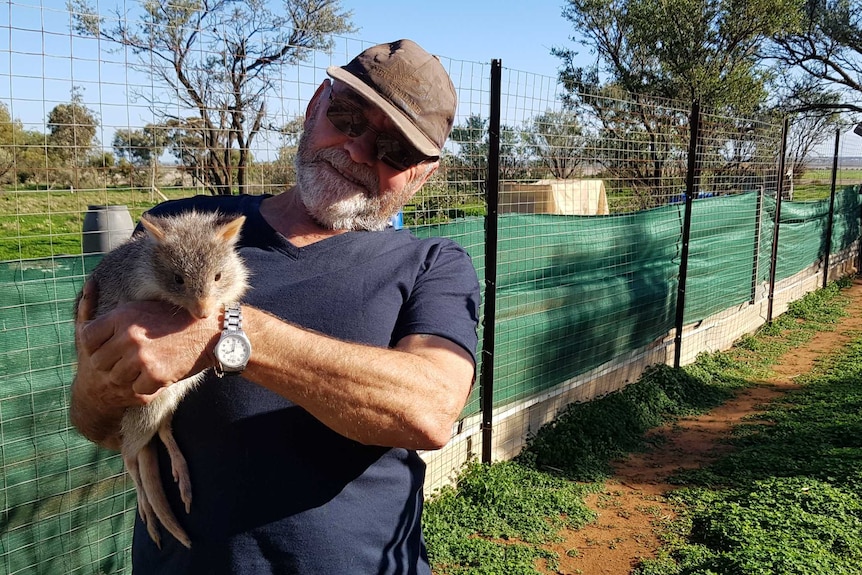 A man wearing a brown cap, sunglasses and a dark blue shirt holds a grey and white bettong in his hands.