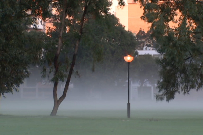 A park in East Perth at dusk covered in fog.