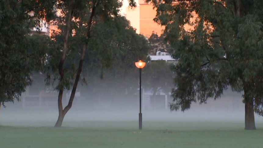 A park in East Perth at dusk covered in fog.