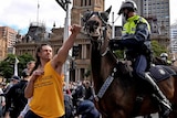 A man pushes his arm towards a horse's face among a crowd of people