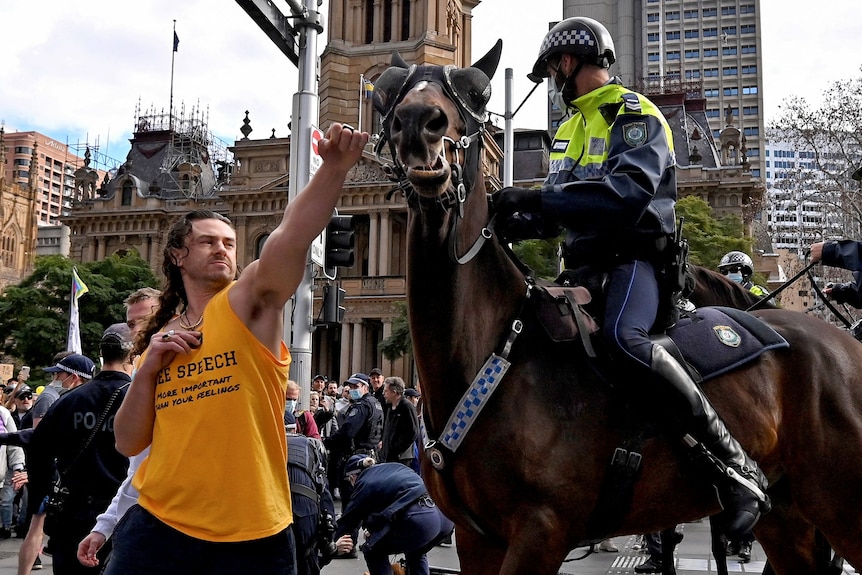 A man pushes his arm towards a horse's face among a crowd of people