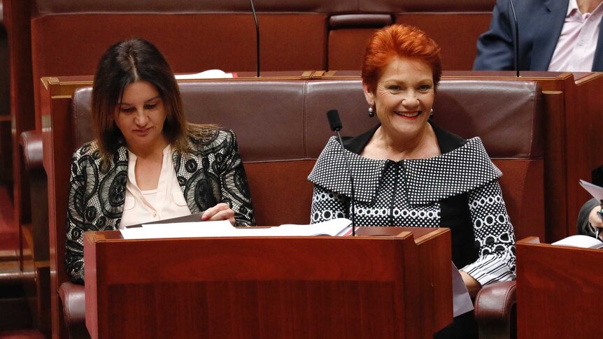 Senator Hanson us flanbked by Jacqui Lambie and Labor's Don Farrell, as she sits at the front of the crossbench.