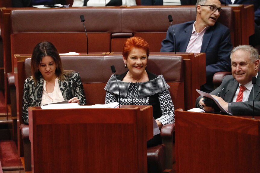 Senator Hanson us flanbked by Jacqui Lambie and Labor's Don Farrell, as she sits at the front of the crossbench.