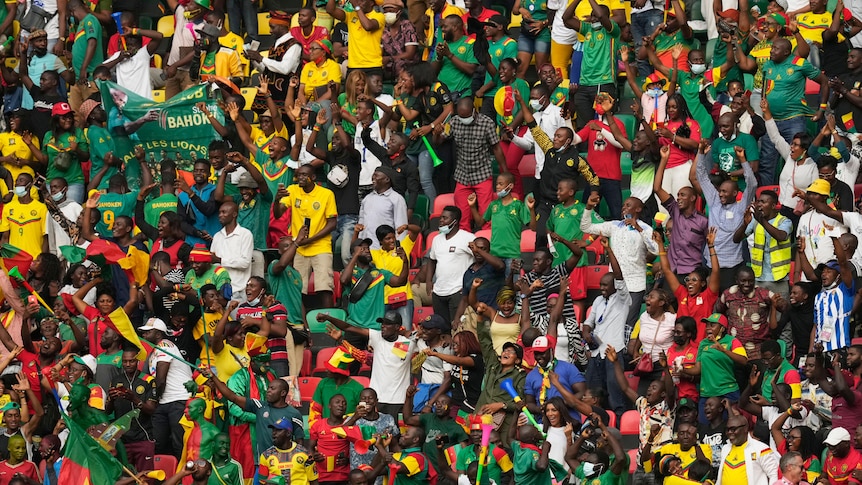 Africa Cup of Nations fans killed in Cameroon stadium crash