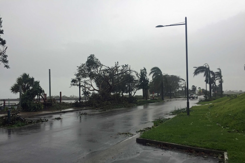 Trees were toppled along the Bowen foreshore.