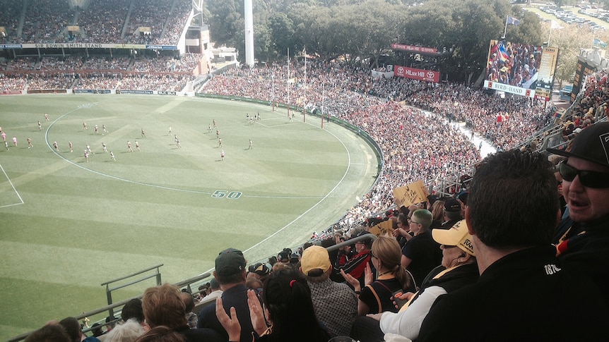 A crowd watches a game at Adelaide Oval