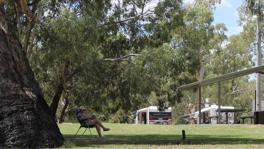 Man with a hat sitting on a camp chair under a gum tree. Pergola and caravans in the background