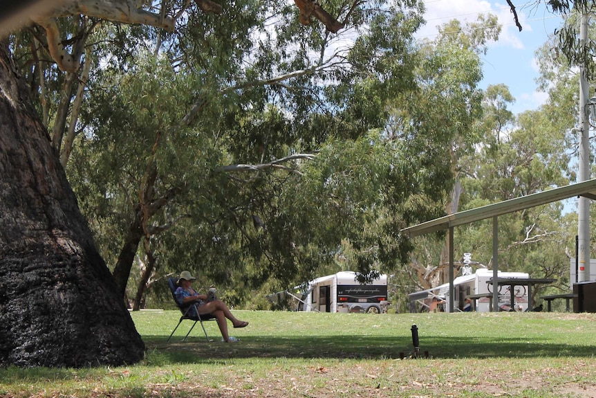 Man with a hat sitting on a camp chair under a gum tree. Pergola and caravans in the background