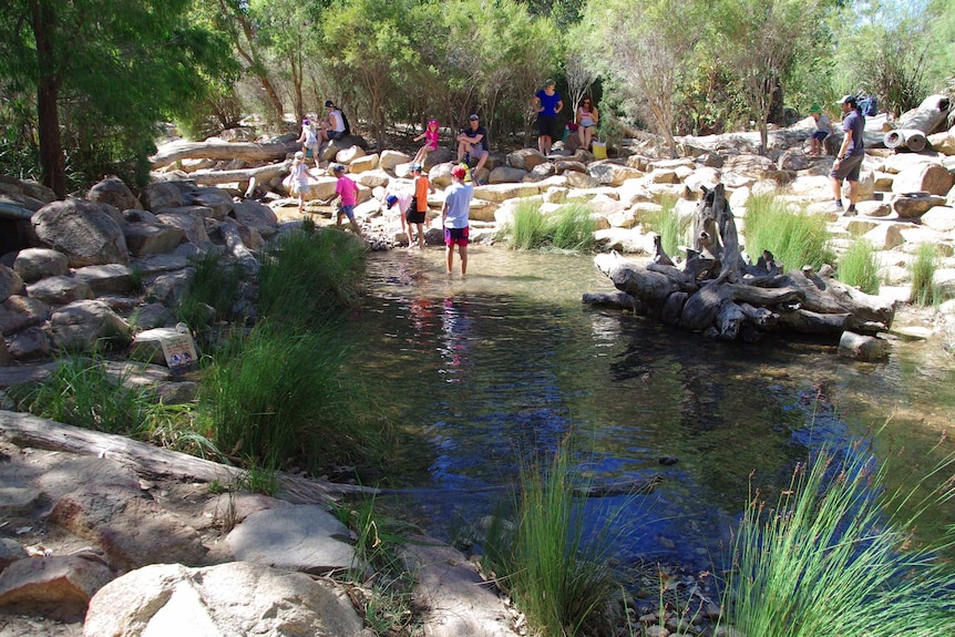 Children play at the Rio Tinto-sponsored nature playground in Kings Park.