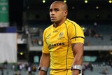 Genia will the rest of the Rugby Championship and possibly the start of the Super Rugby season.