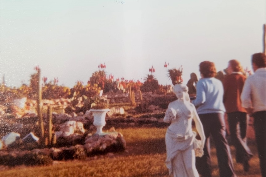 Arizona Cactus Ranch archive