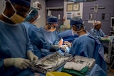 A surgeon and team performs an operation at St Vincent's Hospital