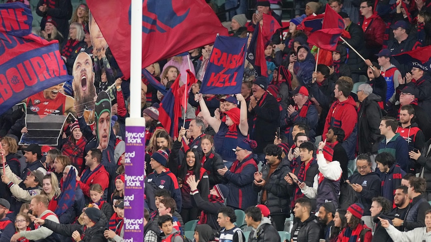 Melbourne AFL fans celebrate in the crowd after their team wins a game.