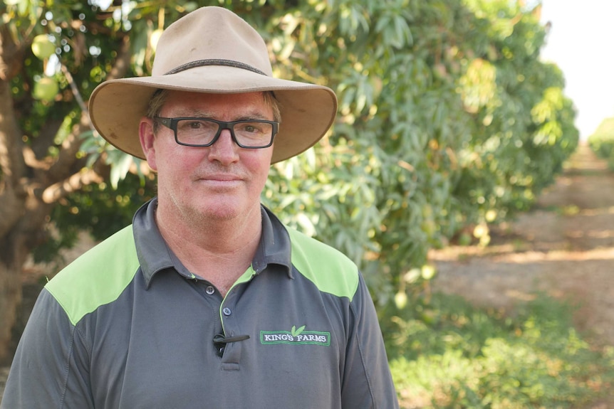 NT mango grower Mitchael Curtis is standing in a mango orchard in Katherine, NT.