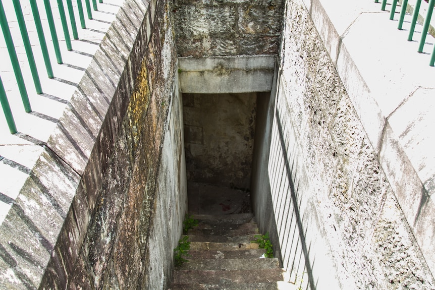 The sandstone cellar sits at the front of Customs House at the bottom of a fenced stairwell.