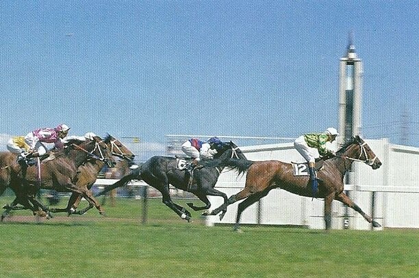 Think Big wins the 1974 Melbourne Cup