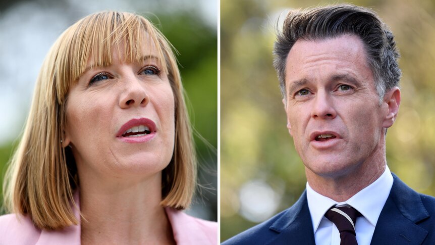 Composite image of nsw transport minister Jo Haylen and premier Chris Minns