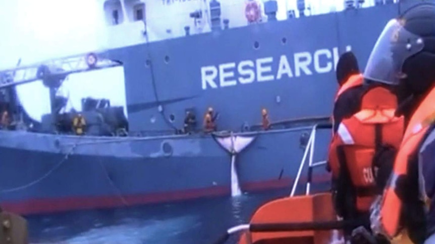 A ship with "research" written on the side and a whale tail hanging off the side.