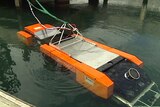 The Fugro Discovery's sonar vehicle towfish