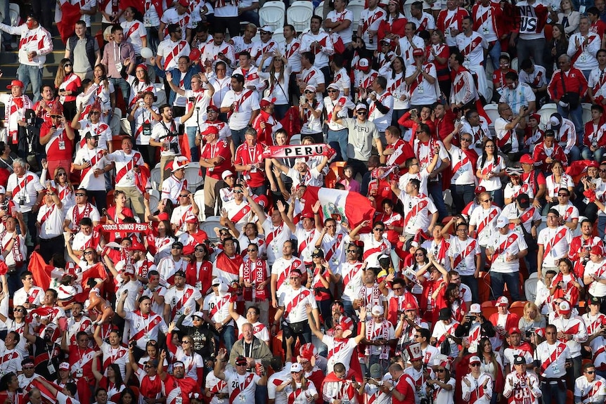 Peru fans packed into a stadium looking happy and holding Peru signs.