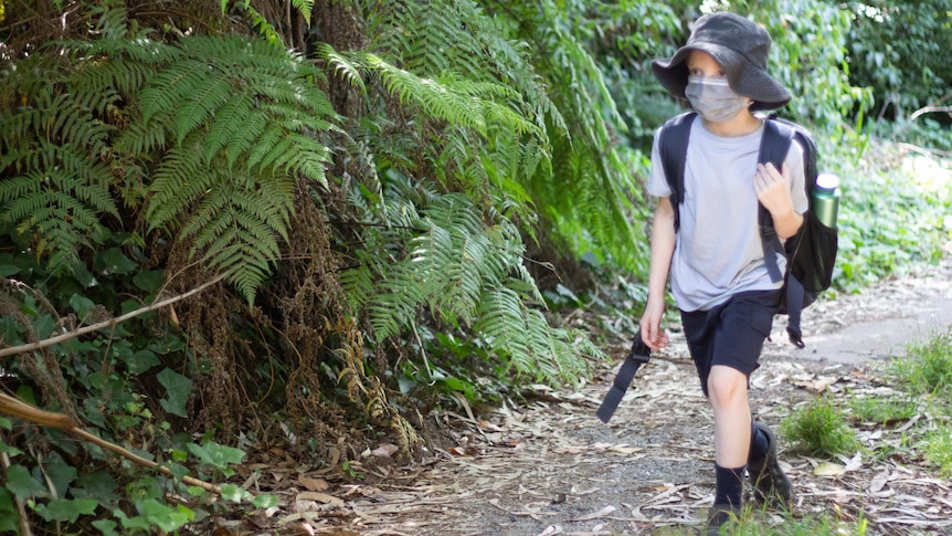 A masked primary school student walks down a dirt road alonside ferny bushland