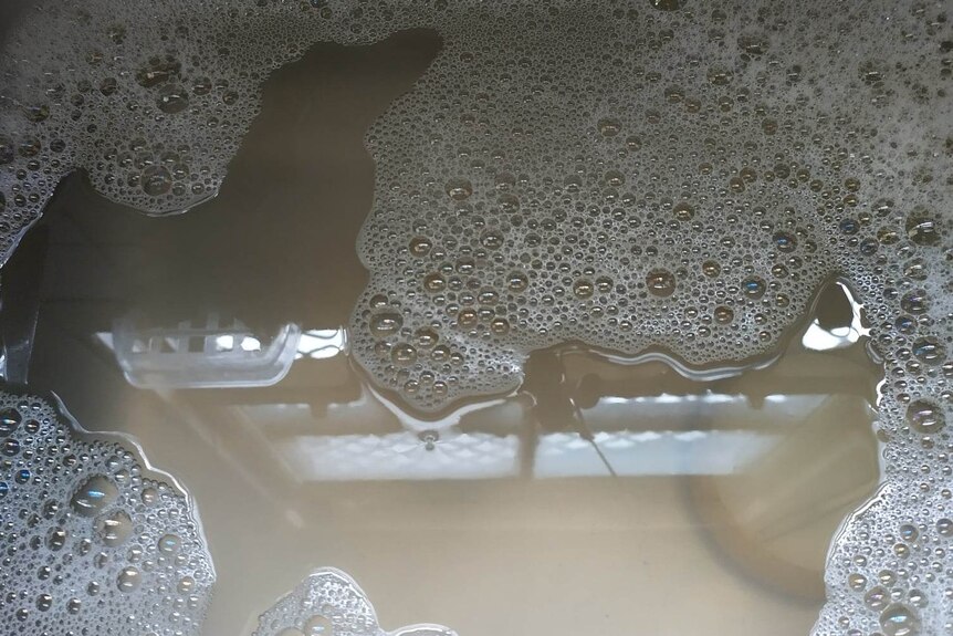 Brown water in sink with soap suds.