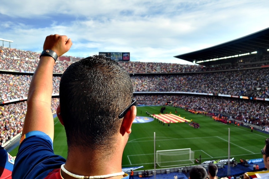 Person in Red and Blue Top Raising Left Hand at sporting match