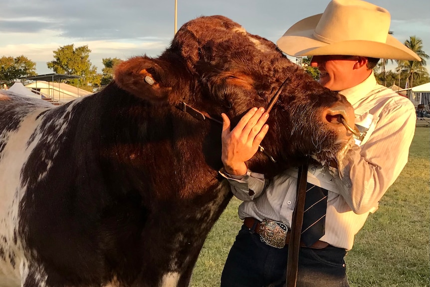 Mid shot of a young man hugging the head of a brown bull