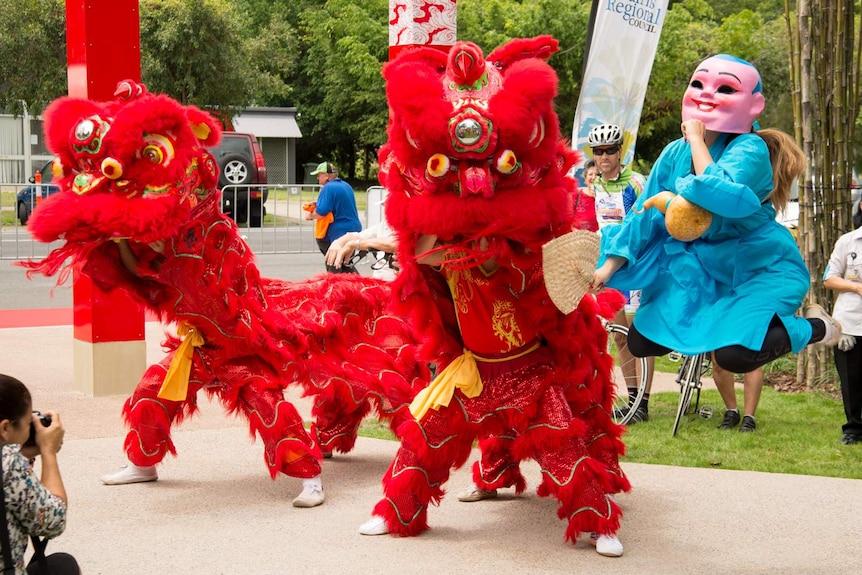 A pair of Chinese dancing lions celebrate the opening of the Zhanjiang Friendship Gardens in Cairns.