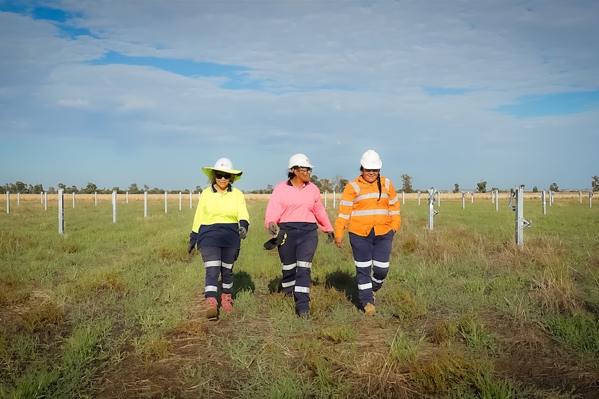 Three women in hi-vis walking through a field. 