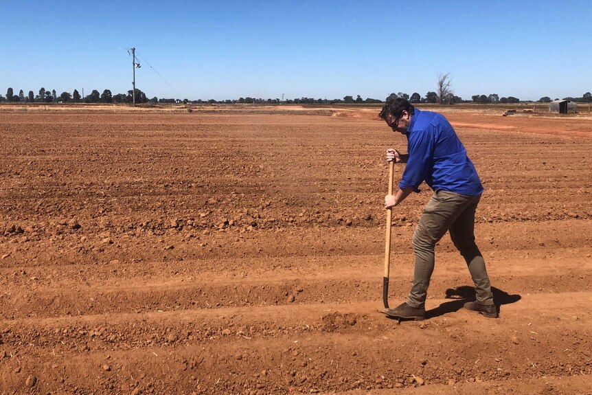 Liam Lenaghan with a shovel in tilled soils.