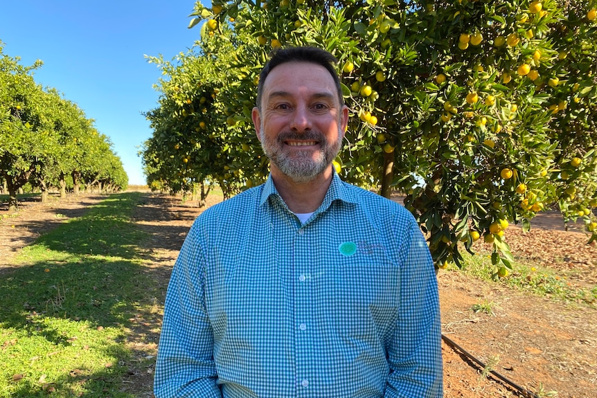 A man wearing a checked shirt smiling and standing in front of a row of citrus trees.